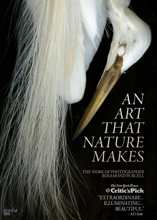 An Art That Nature Makes: The Work of Rosamond Purcell